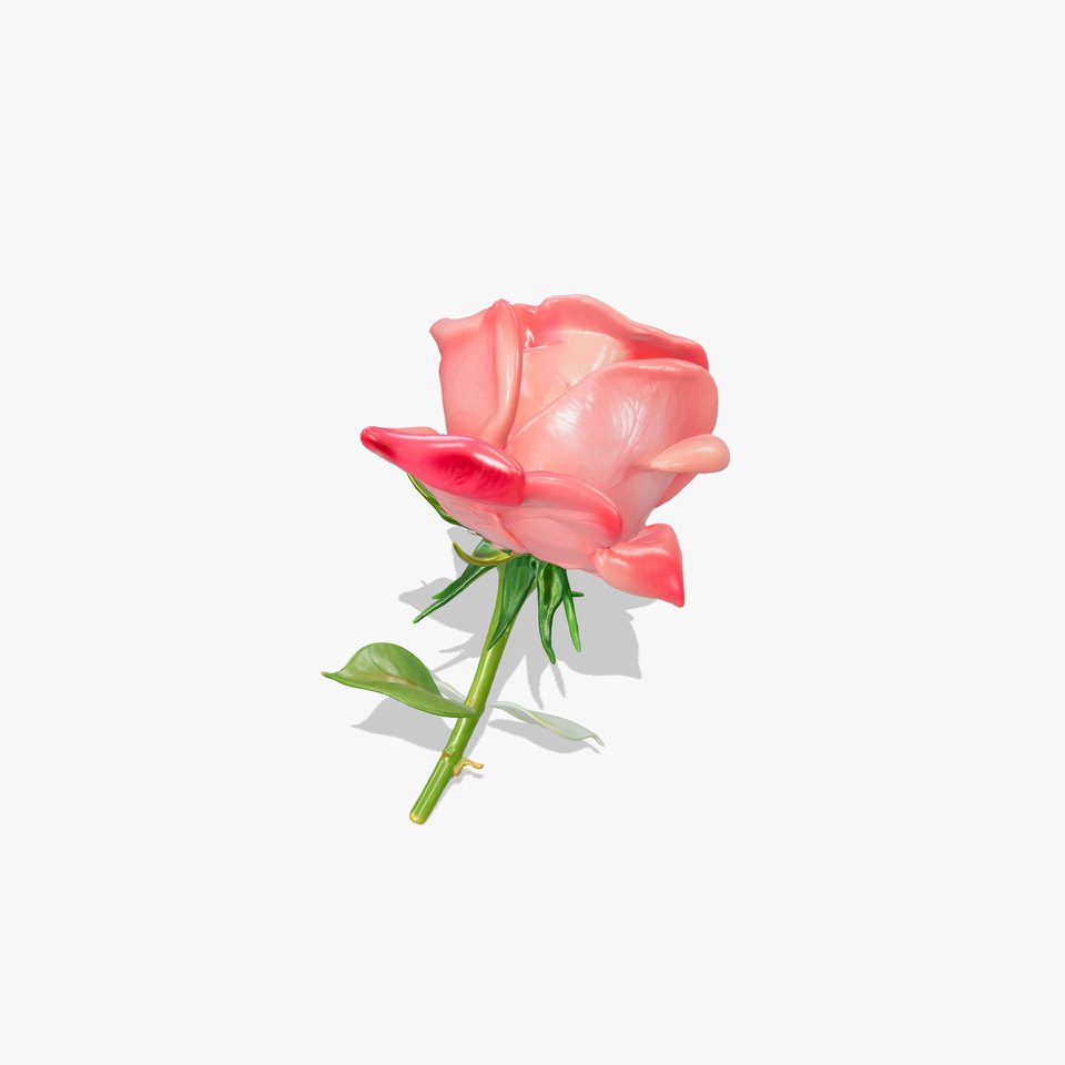 Velvety Rose Blossom Sculpture model pack